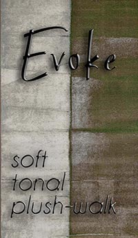 Evoke